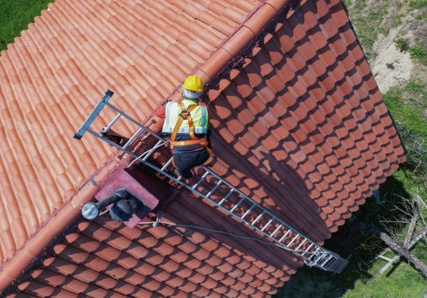 Best Roof Moss and Algae Removal  in Turner, OR